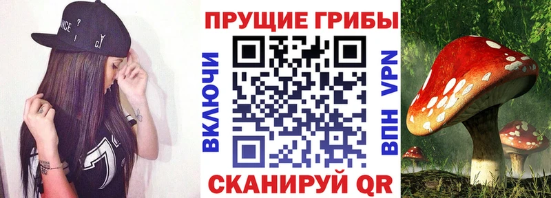 Галлюциногенные грибы GOLDEN TEACHER  закладка  Ворсма 